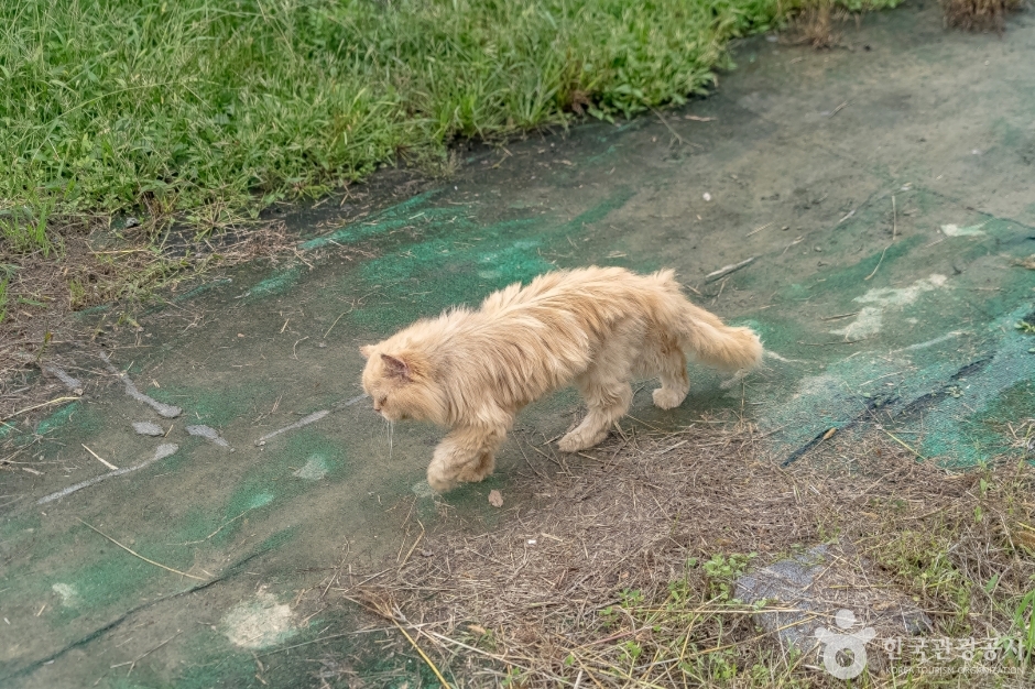 애니멀스토리11