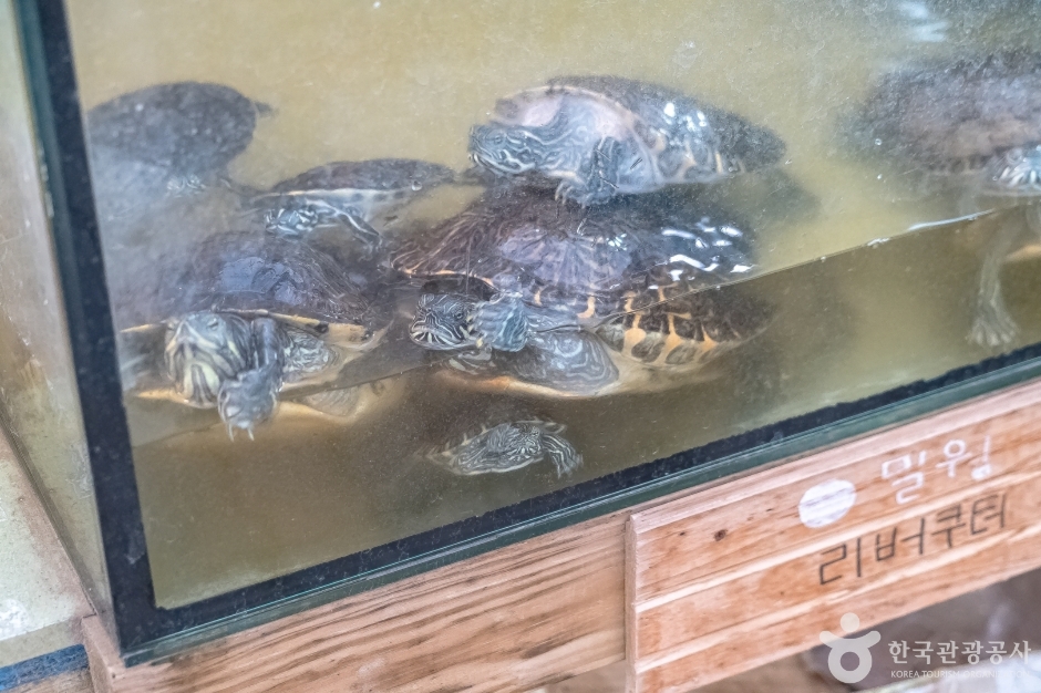 애니멀스토리16