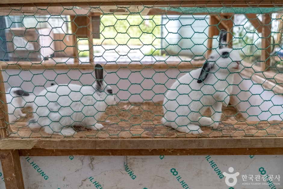 애니멀스토리17