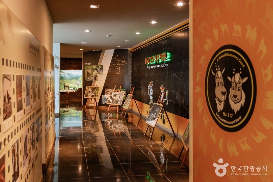 양구_산양증식복원센터 (5)