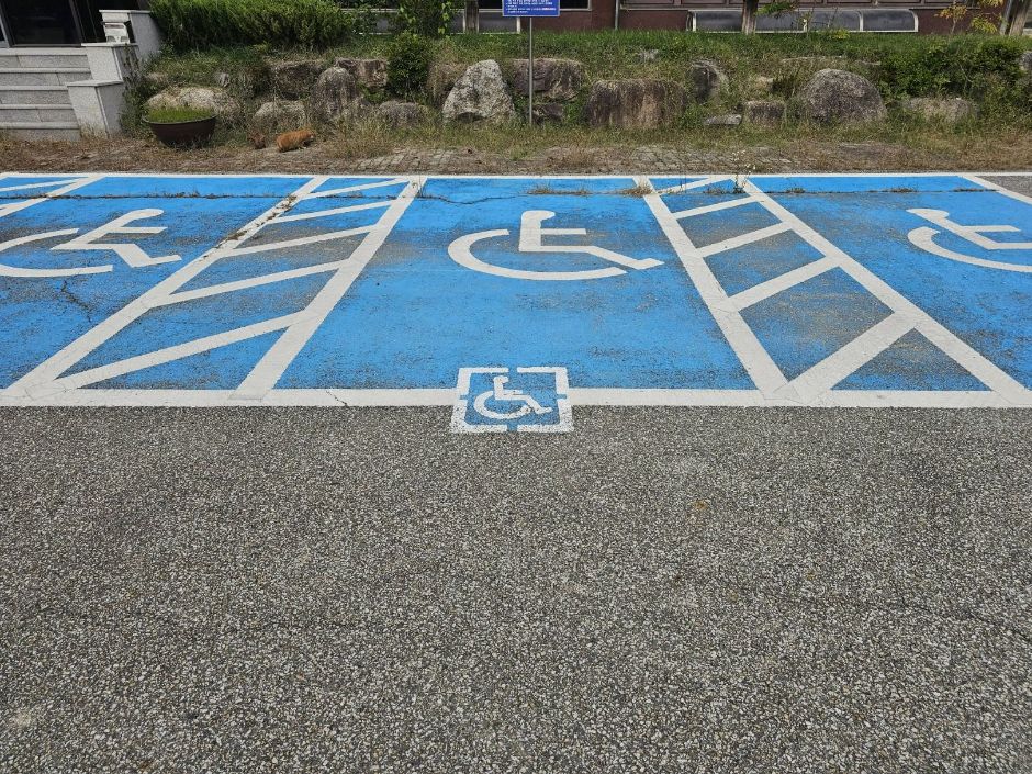 양양송이조각공원_장애인주차장 3면