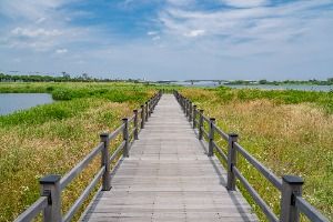 남대천 생태관찰로