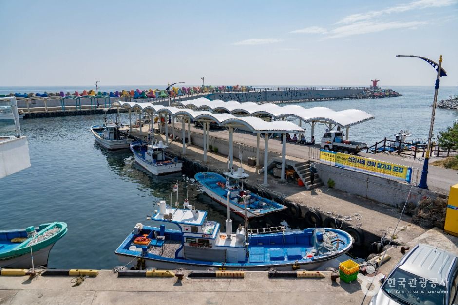 동해_어달항 (4)