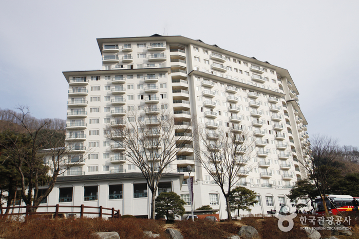 강원 춘천시_엘리시안 강촌리조트_전경