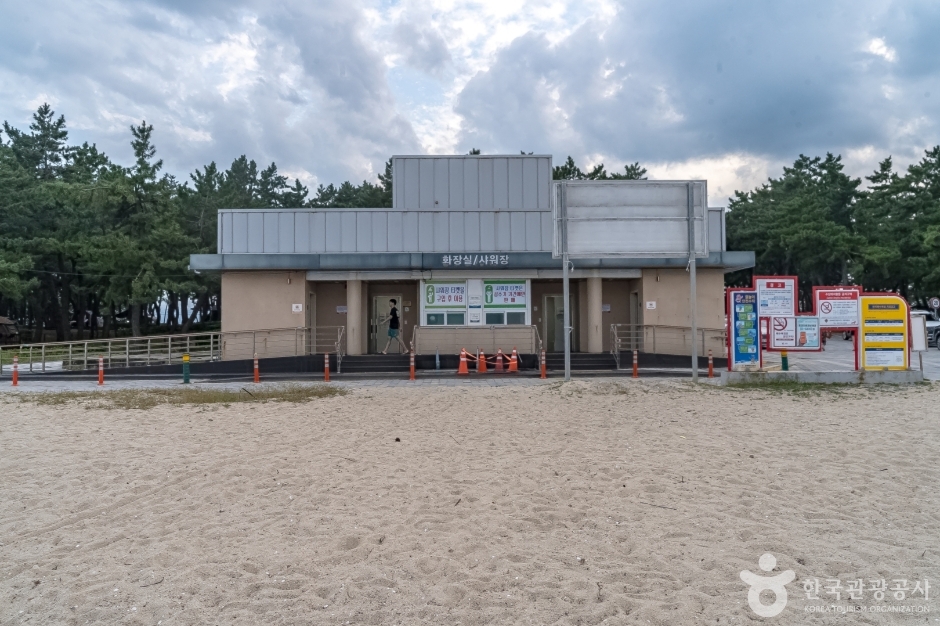 연곡해변(연곡해수욕장) (13)