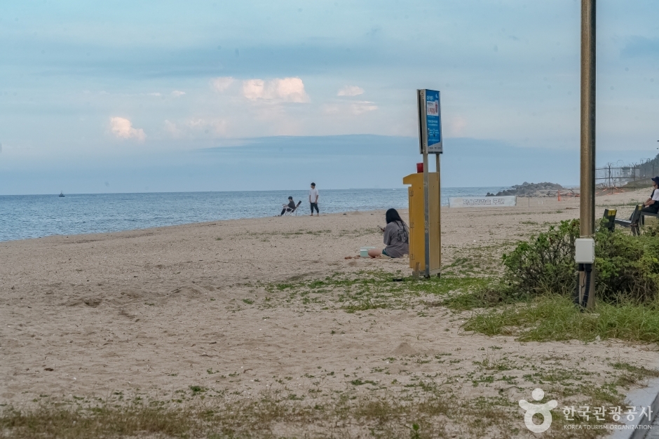 연곡해변(연곡해수욕장) (15)