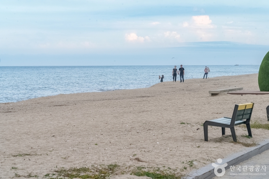 연곡해변(연곡해수욕장) (18)