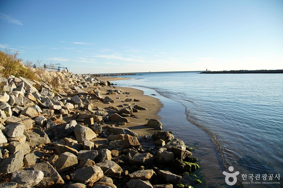 강원_강릉_염전해변 (3)