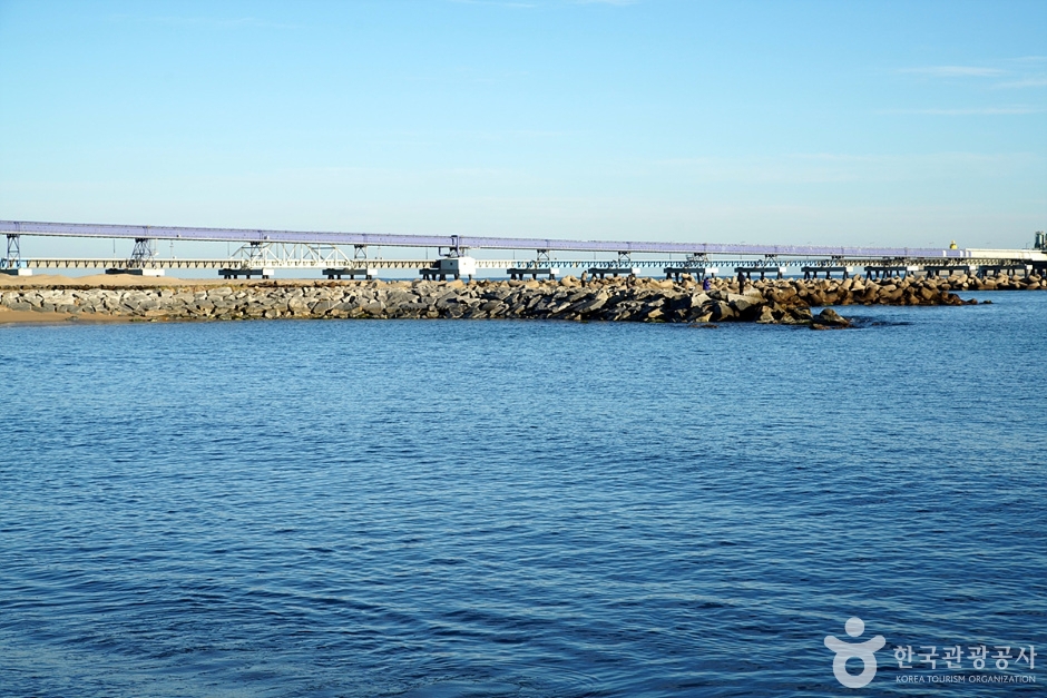 강원_강릉_염전해변 (24)