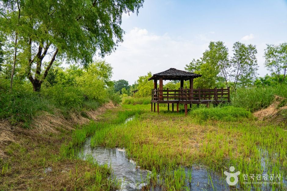 속초_영랑호 습지생태공원 (5)