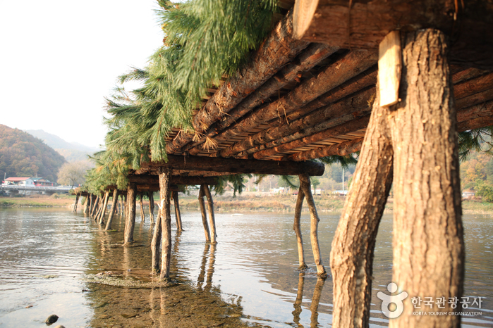 강원_영월_당신이 몰랐던 포토제닉 영월 – 젊은달 와이파크_22