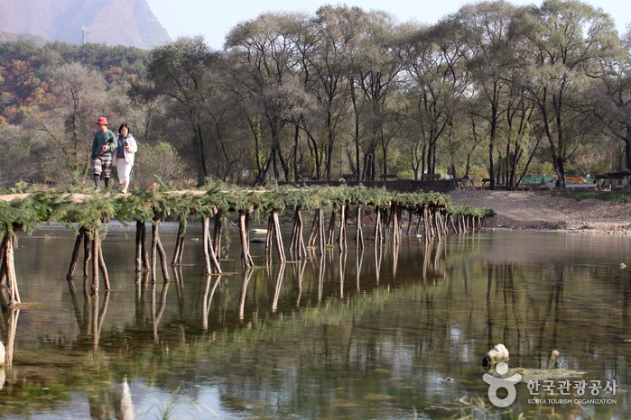 강원_영월_당신이 몰랐던 포토제닉 영월 – 젊은달 와이파크_21