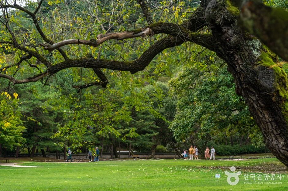 영월_영월 장릉(단종) [유네스코 세계유산] (6)