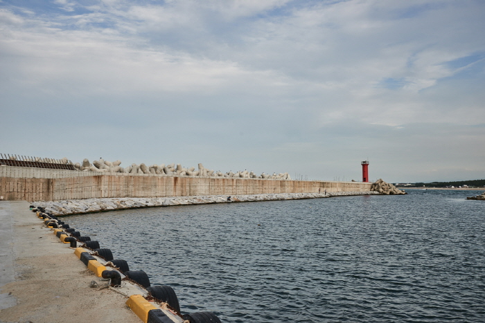 한국문화정보원_영진항_06