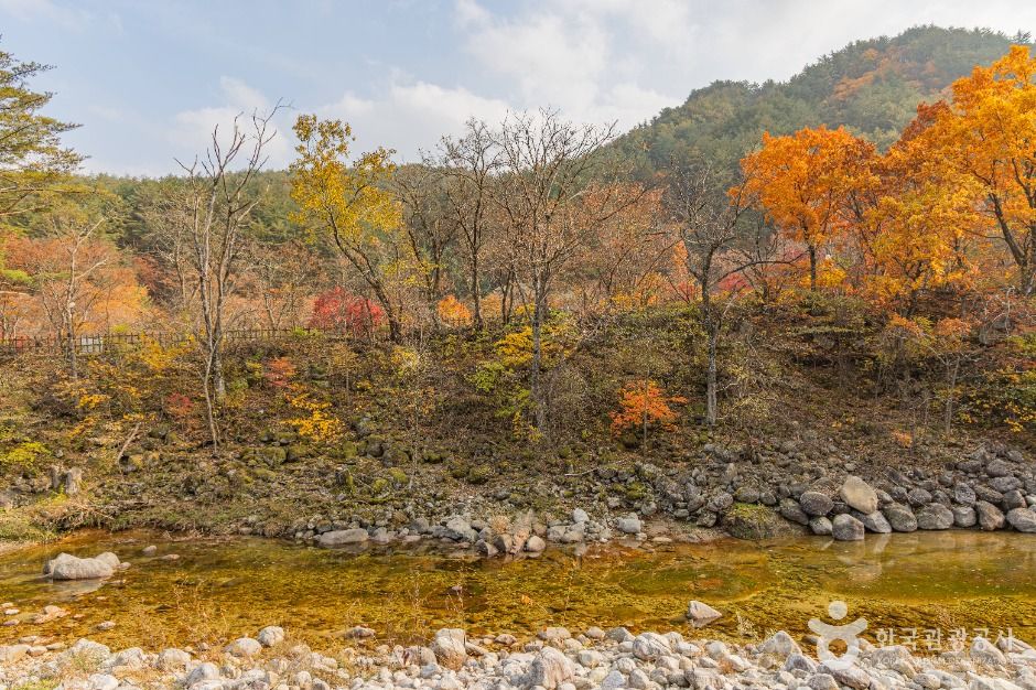 강릉_오대산 소금강계곡 (4)