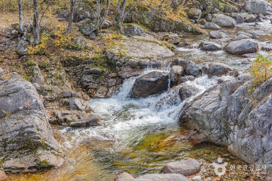 강릉_오대산 소금강계곡 (5)