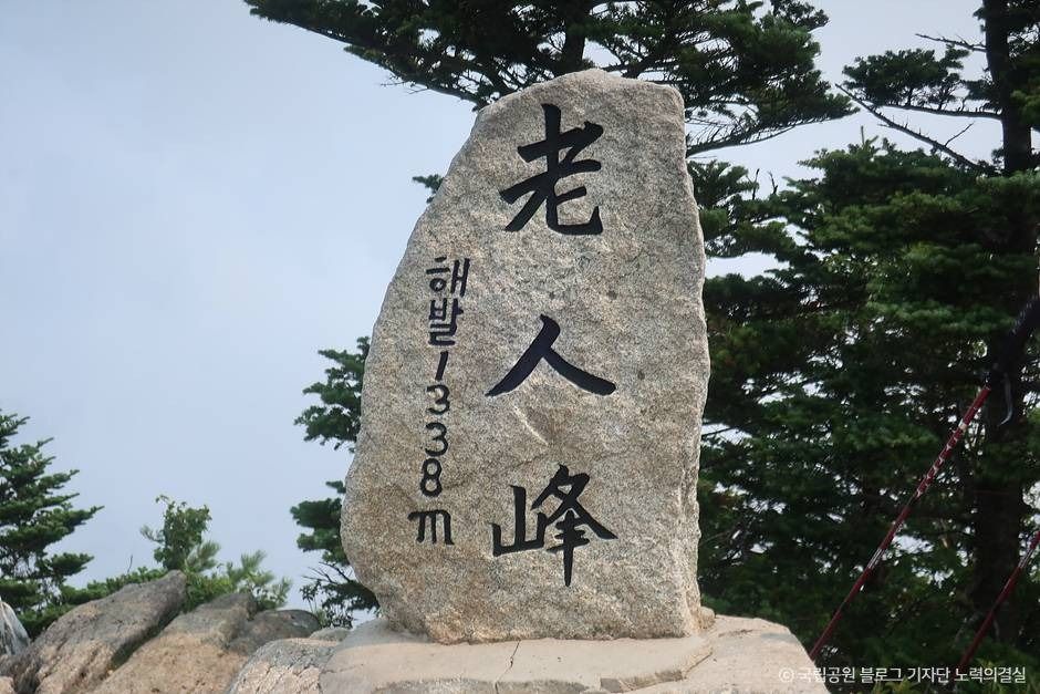 평창_오대산국립공원 (1)