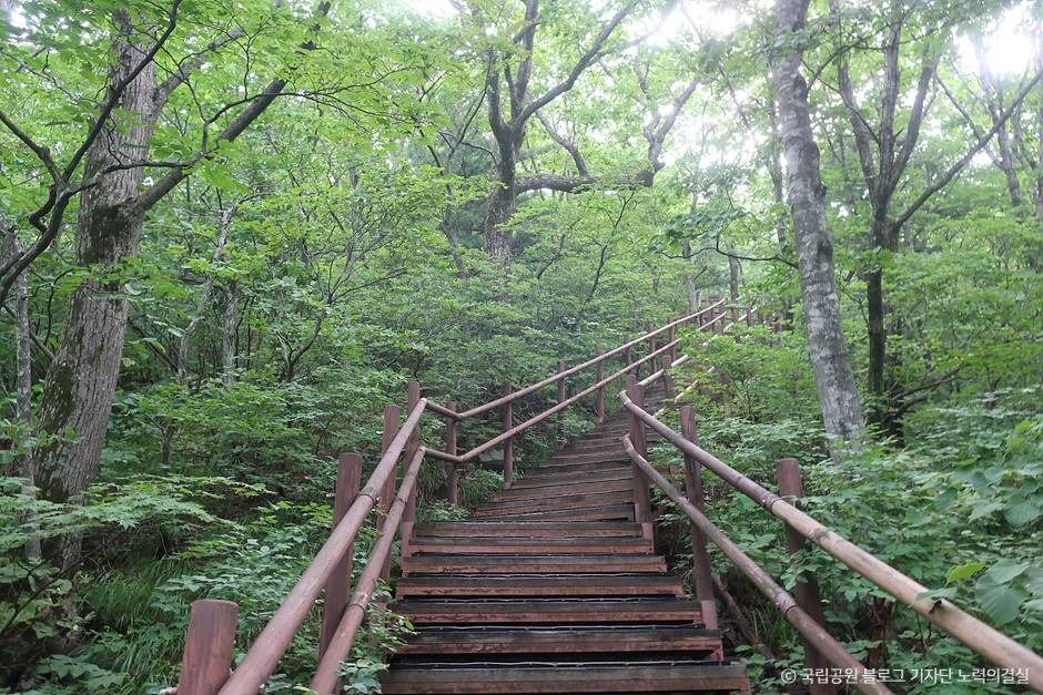 평창_오대산국립공원 (3)