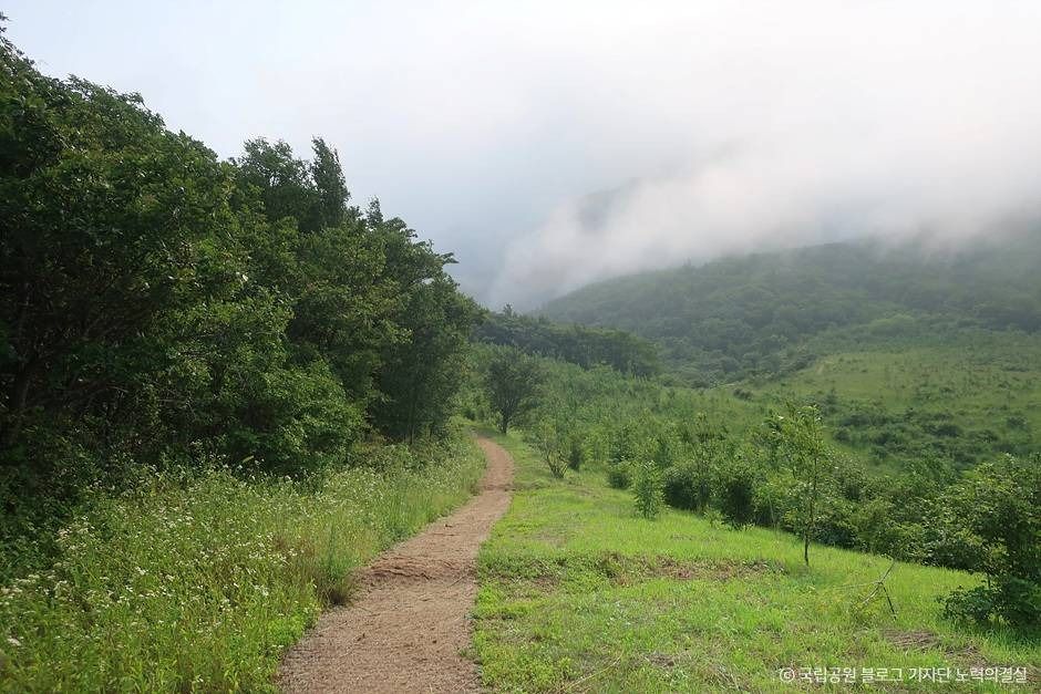 평창_오대산국립공원 (4)