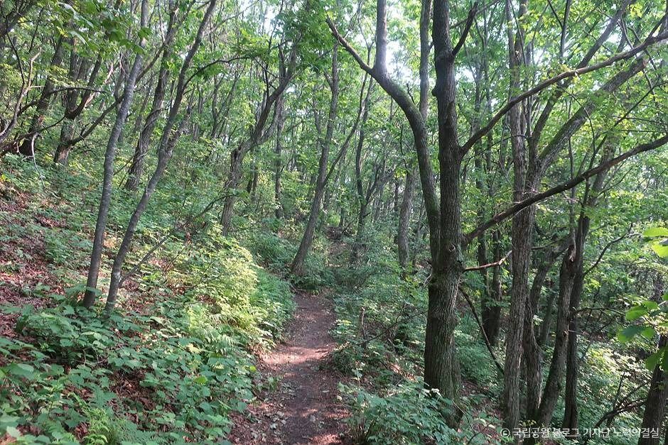 평창_오대산국립공원 (6)