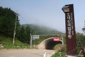오대산국립공원