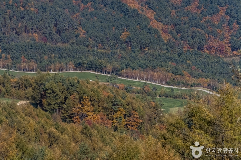 오투전망대 (11)