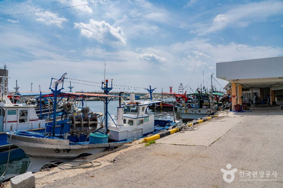 고성_오호항 (3)