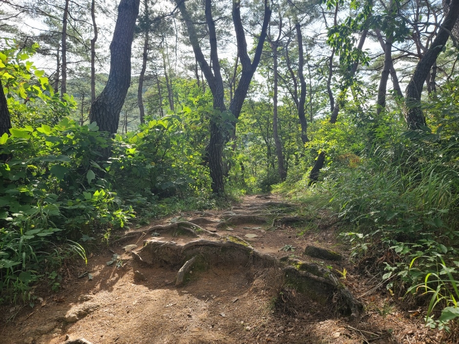 요선암 요선정_6