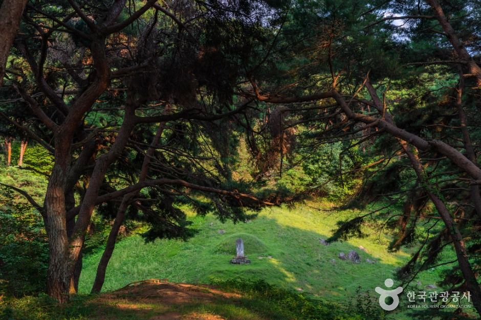 원주_원주 운곡원천석묘역 (5)