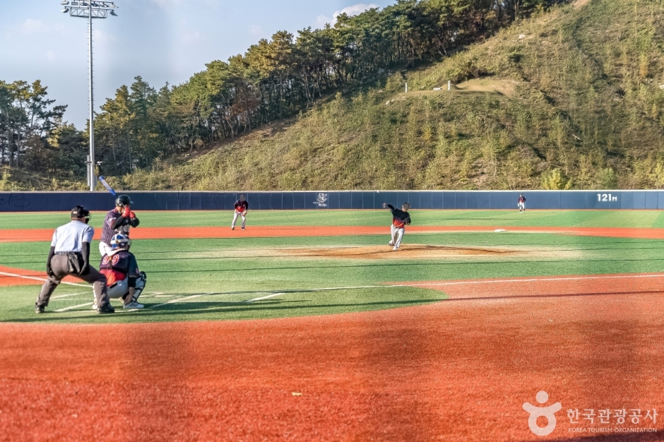 원주태장체육단지 (1)