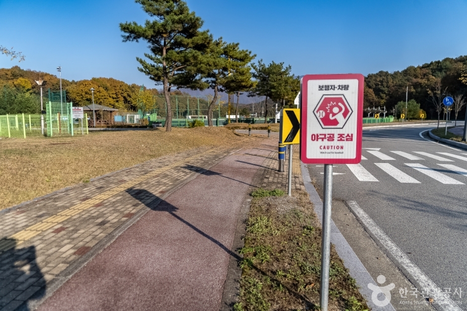 원주태장체육단지 (12)