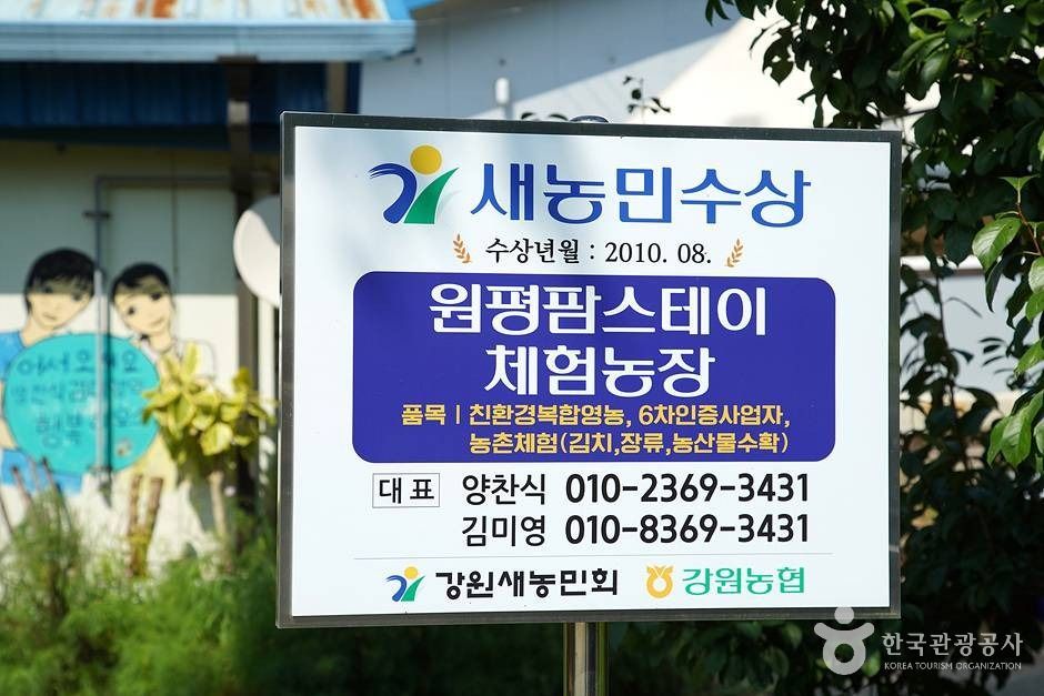 원평 팜스테이 (09)