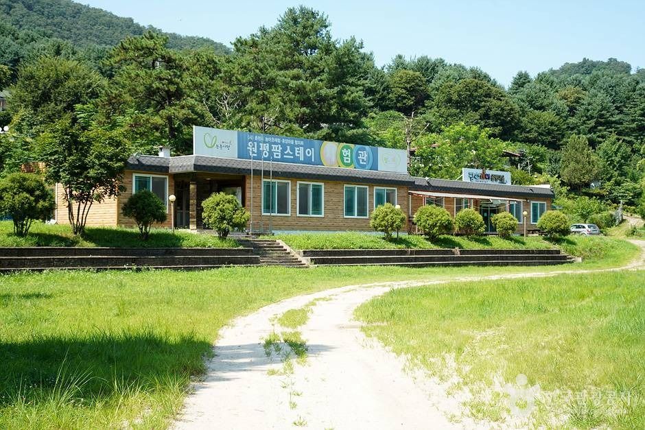 원평 팜스테이 (17)