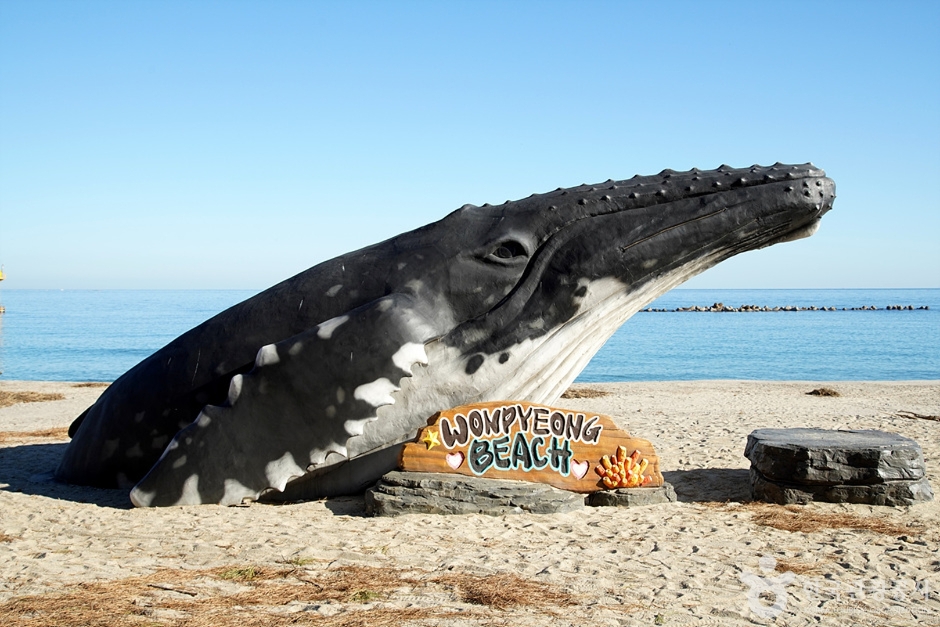 원평해수욕장 (3)