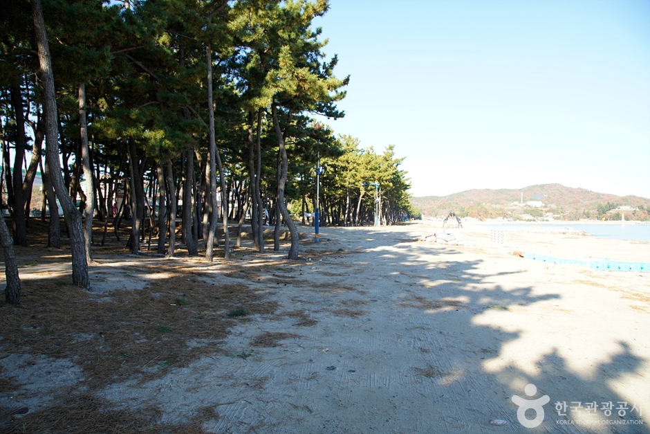 원평해수욕장 (7)