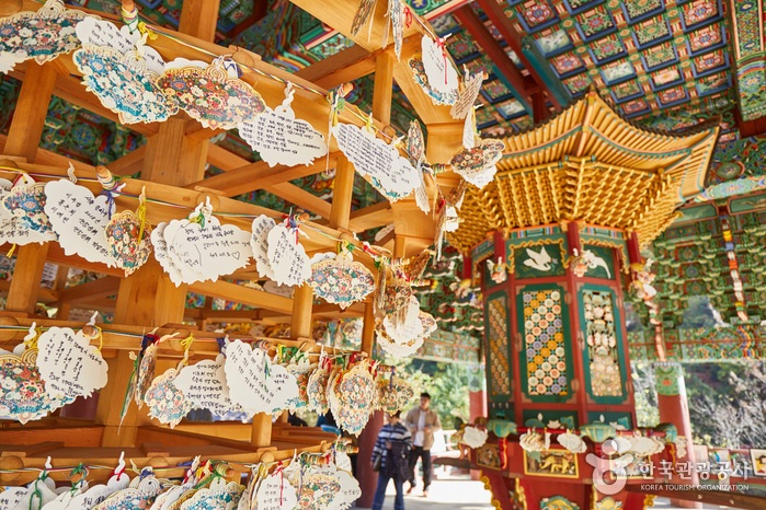 지역콘텐츠팀_강원_평창_이호순 명사_19