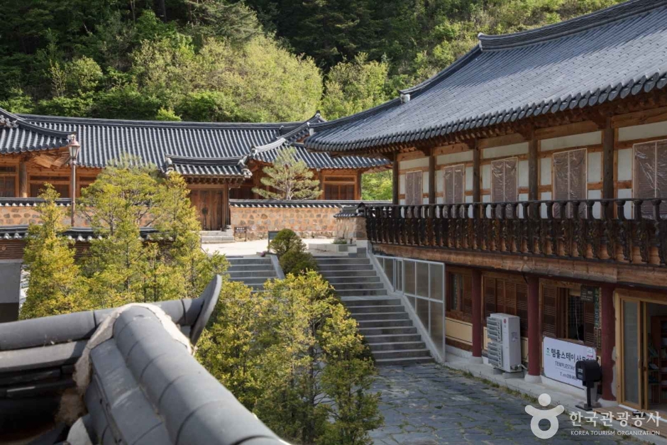 월정사·월정사 전나무숲 (4)