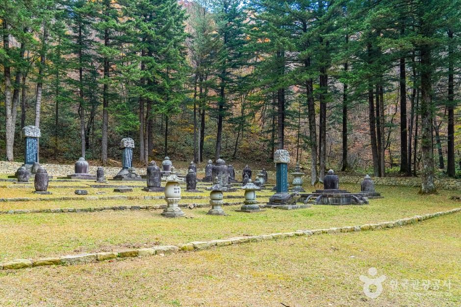 평창_월정사 부도군 (5)