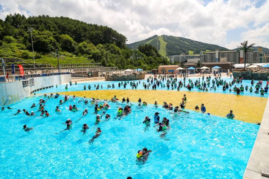 횡성_웰리힐리파크 워터플래닛 (2)