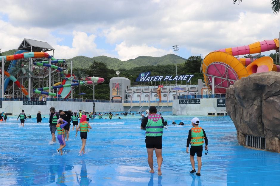 횡성_웰리힐리파크 워터플래닛 (3)