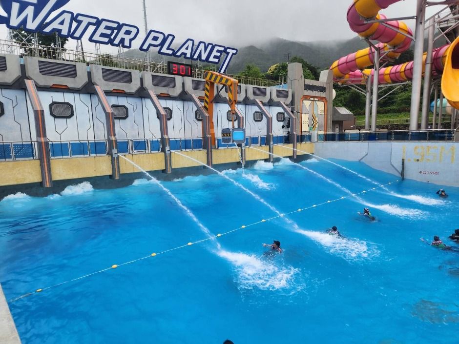 횡성_웰리힐리파크 워터플래닛 (4)