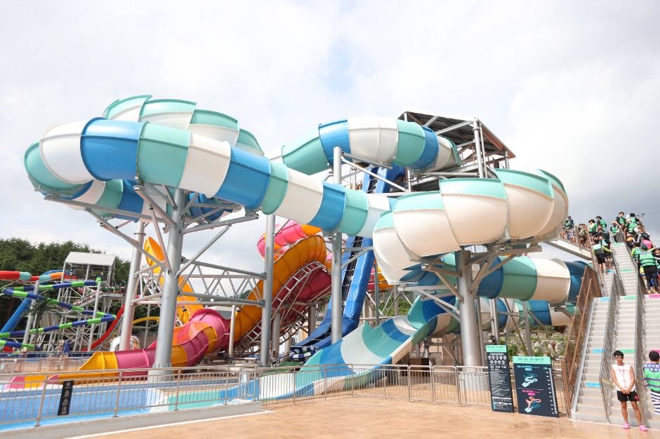 횡성_웰리힐리파크 워터플래닛 (6)