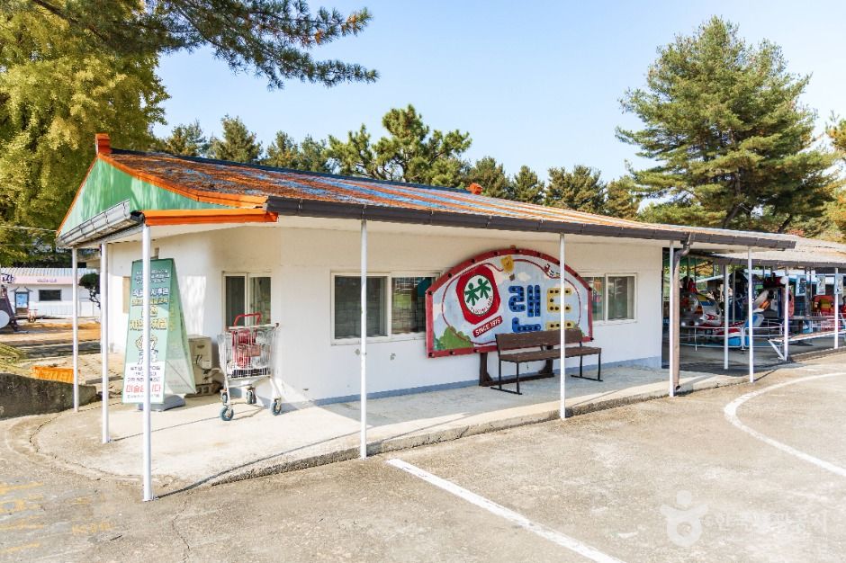 춘천_육림랜드 (1)