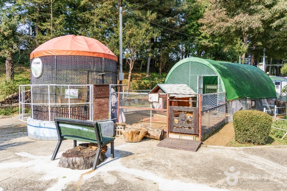 춘천_육림랜드 (5)