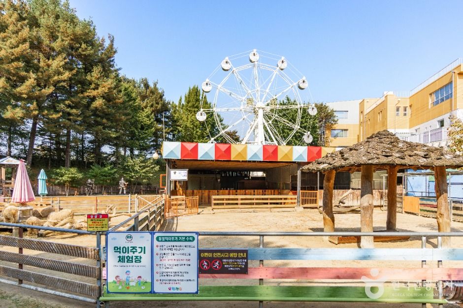 춘천_육림랜드 (6)