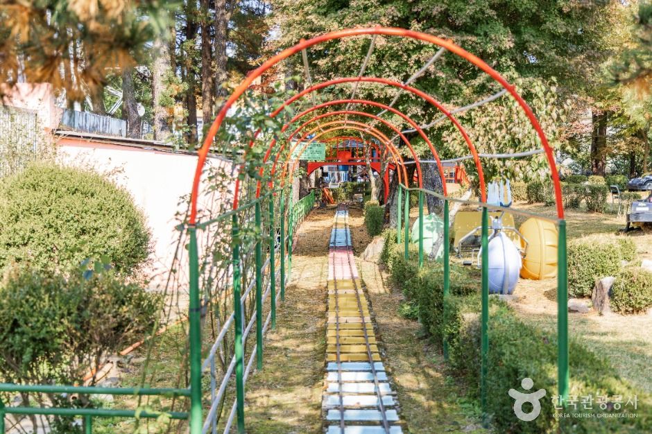 춘천_육림랜드 (8)