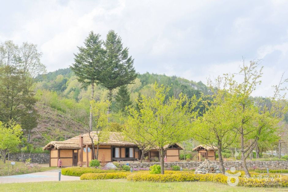 평창_이효석문화마을 (2)