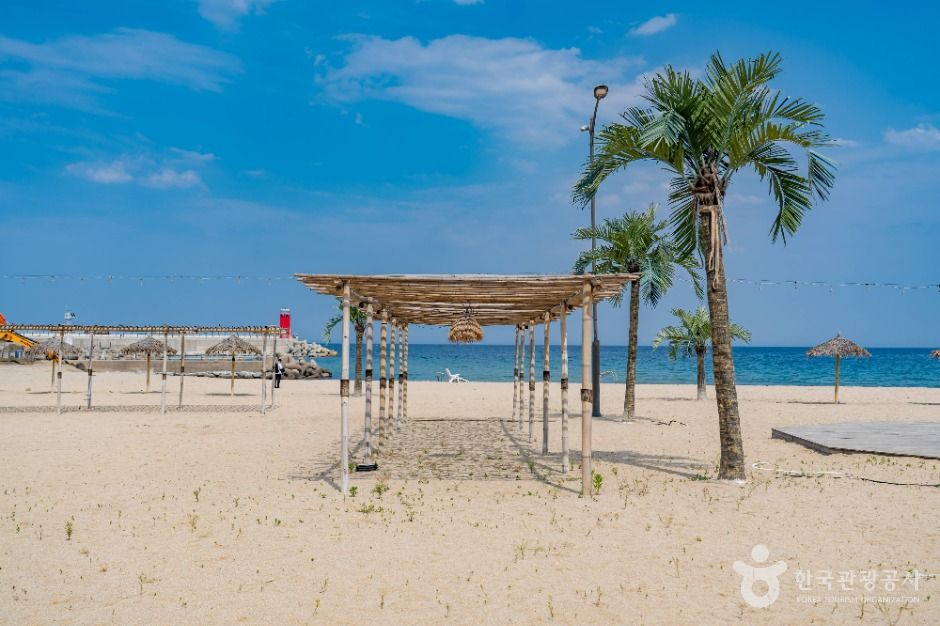 양양_인구해수욕장 (2)