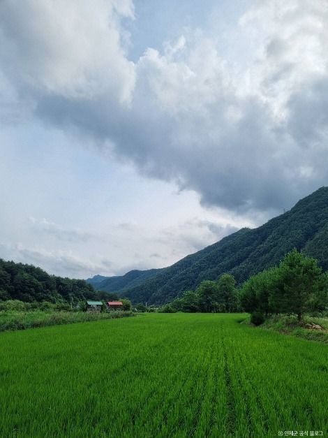 인제_인제 냇강마을 (3)