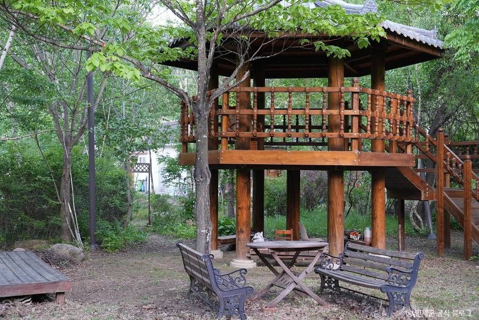 인제_인제 냇강마을 (5)